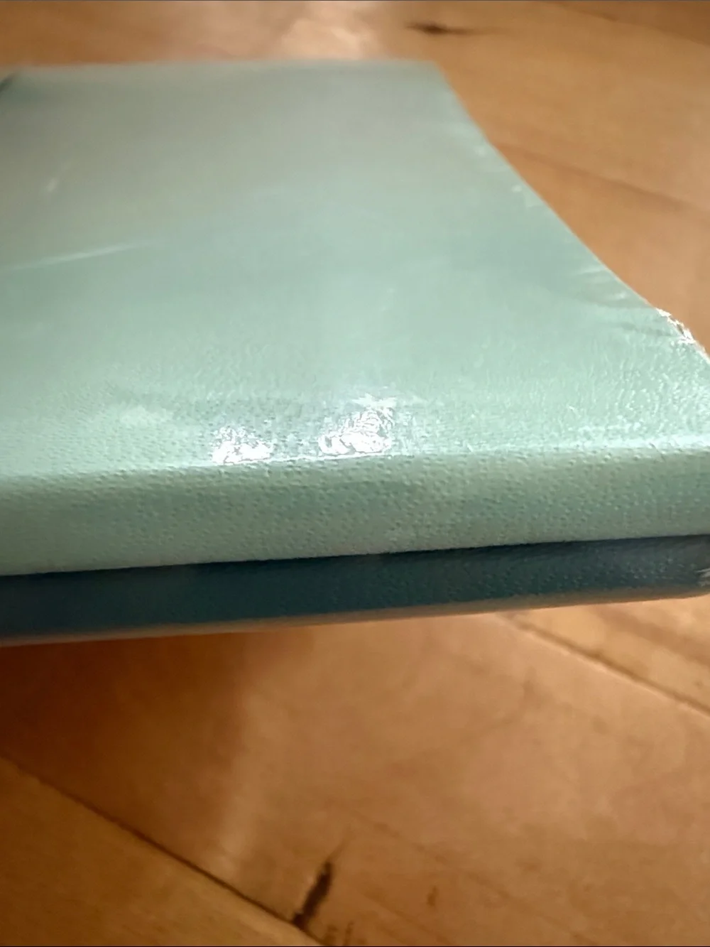Moleskine Ruled Journals/Notebook. A Set of 2. Sage Green & Seaweed. 5” x 8 1/4”